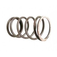 Clutch Spring SIP Sport 6 Spri