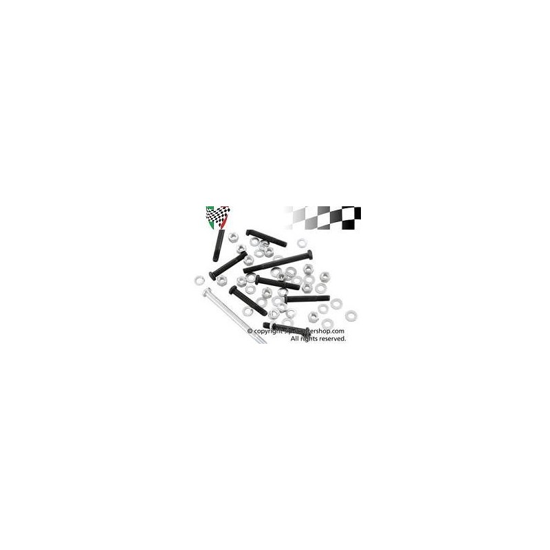 Engine Screw / Bolt Kit