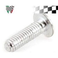 Screw for Light Switch/Horn