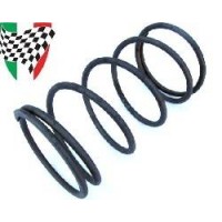 Clutch Centre Spring 200/250/3