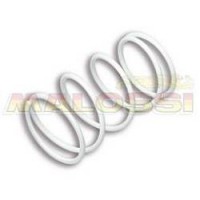 Contrast Spring White