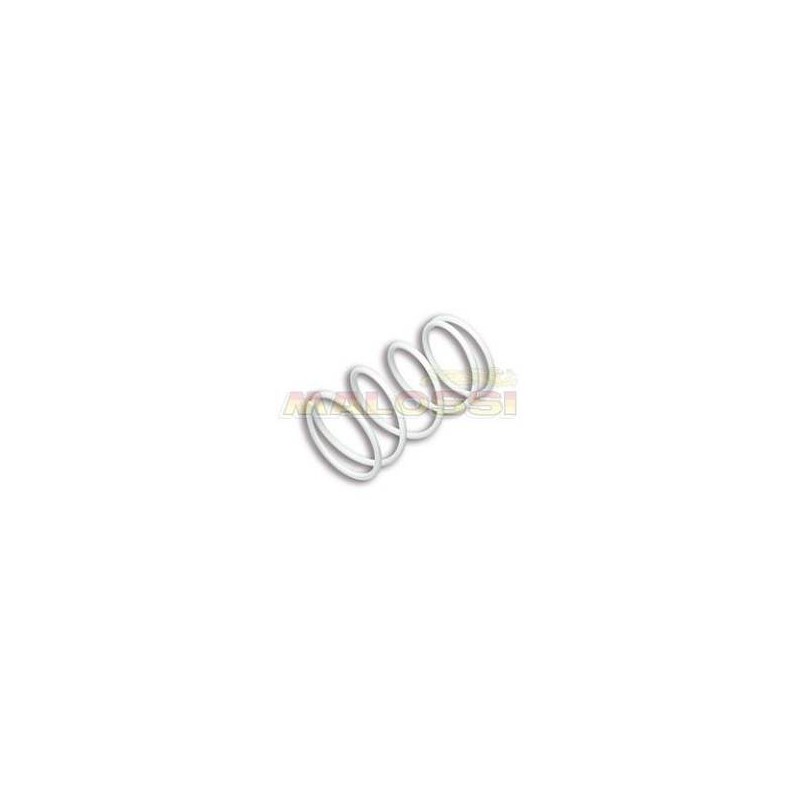 White Variator Adjuster Spring