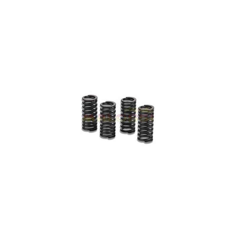 Set Valve Springs Piaggio