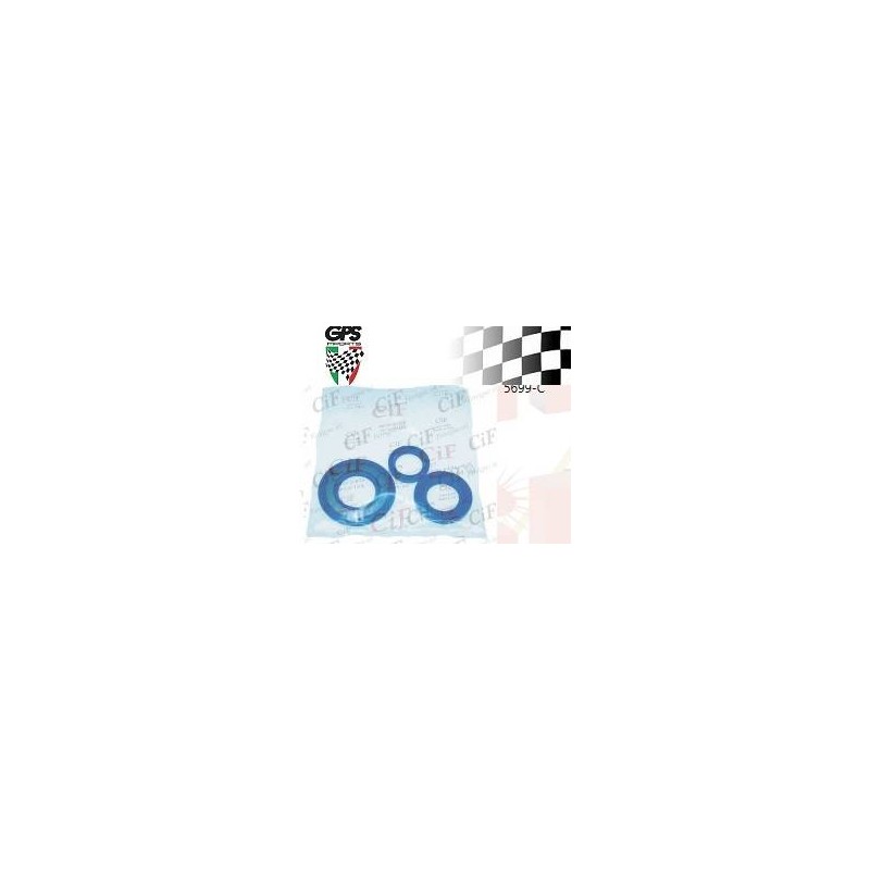 Oil Seal Kit P125/150X Vespa