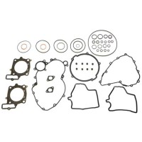 Gasket Kit SXV/RXV 550