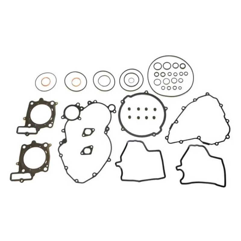 Gasket Kit SXV/RXV 550