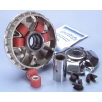 Variator Rotax 125/150