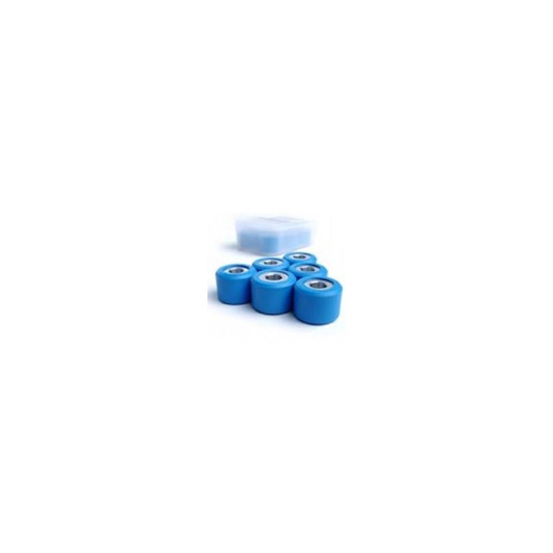 Variator Rollers 19/13 11.7g