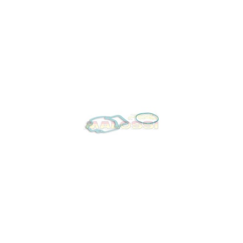 Gasket Kit for 31 8691, 694