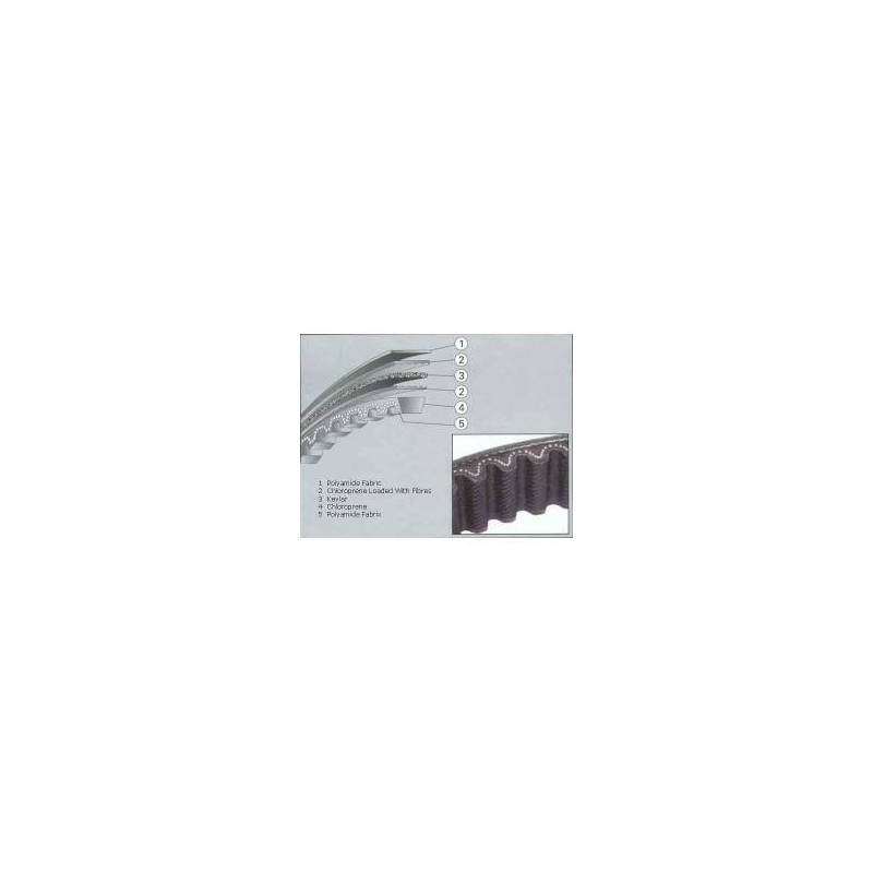 Belt Italjet Formula