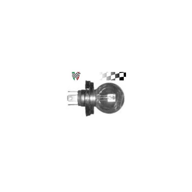 R2 Globe 12V 40/45W P45T