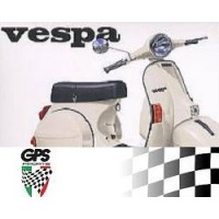 Mirror Vespa RHS Inc Plate