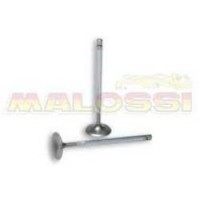Inlet Valves for Malossi Head