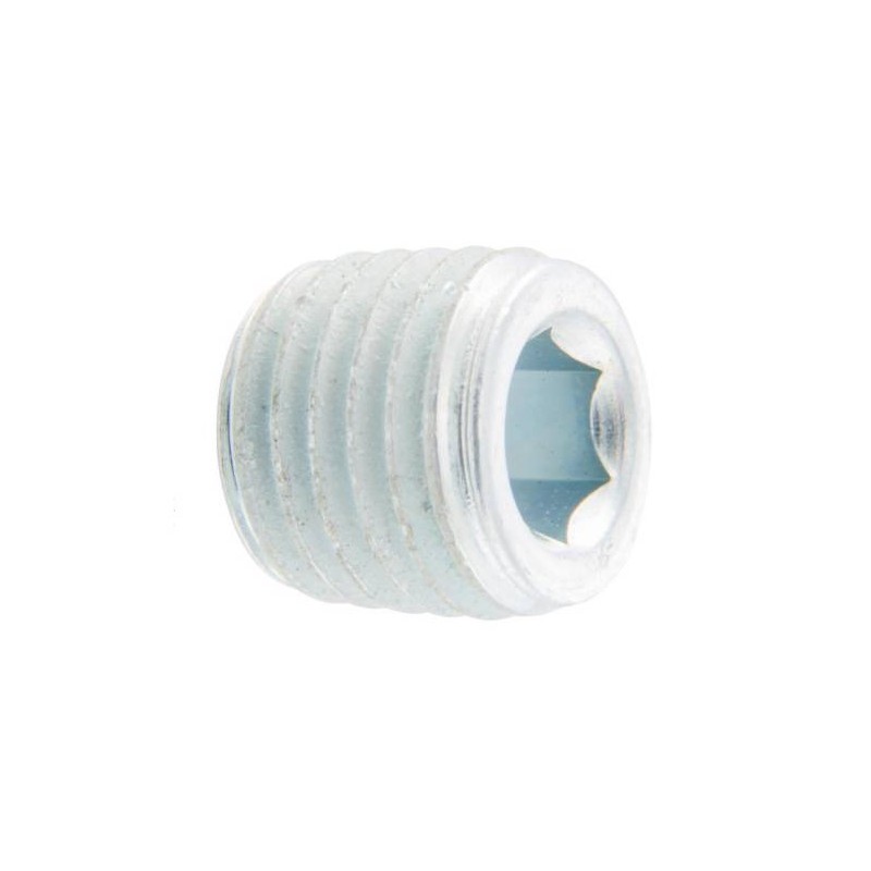 Oil Gallery Plug/Grub screw