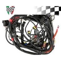 Wiring Loom GTV300