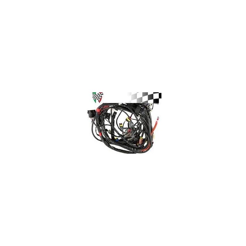 Wiring Loom GTV300
