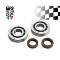 Crank Brg+Seal Kit Piag 50