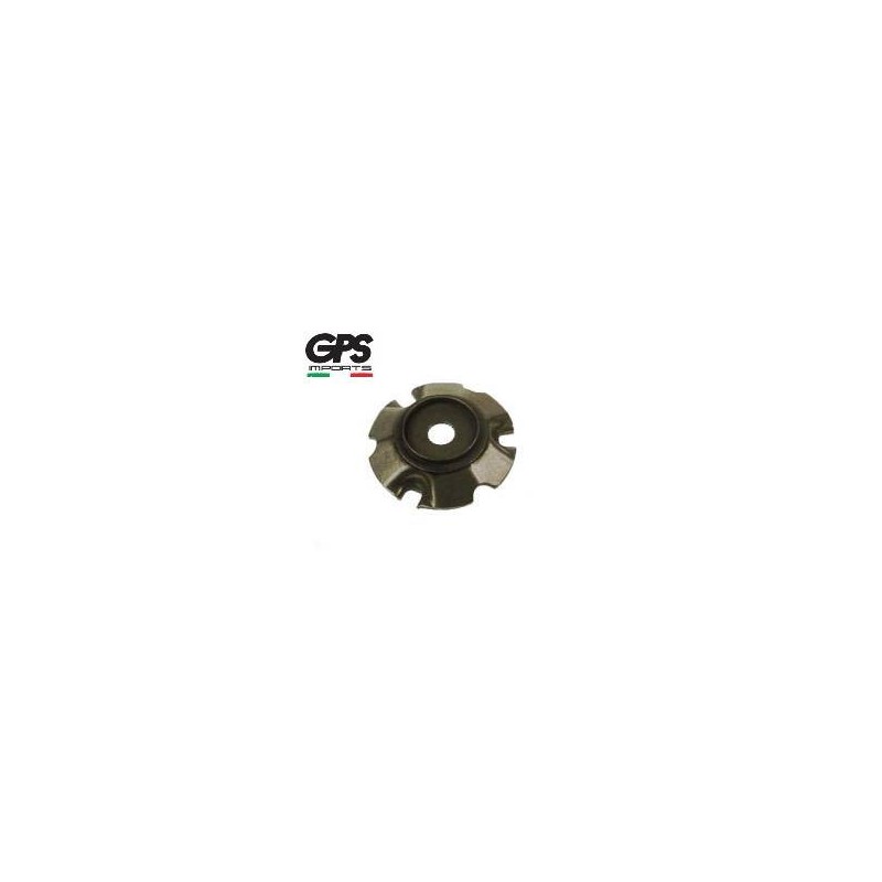 Backing Plate for Variator