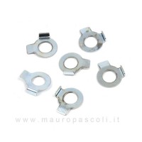 Flywheel Tab Washer Set of 6