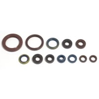 Oil Seal Kit SXV/RXV
