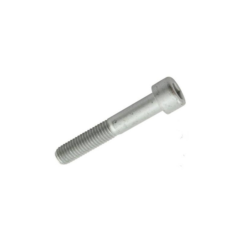 Hex Socket Screw M10 by 60mm
