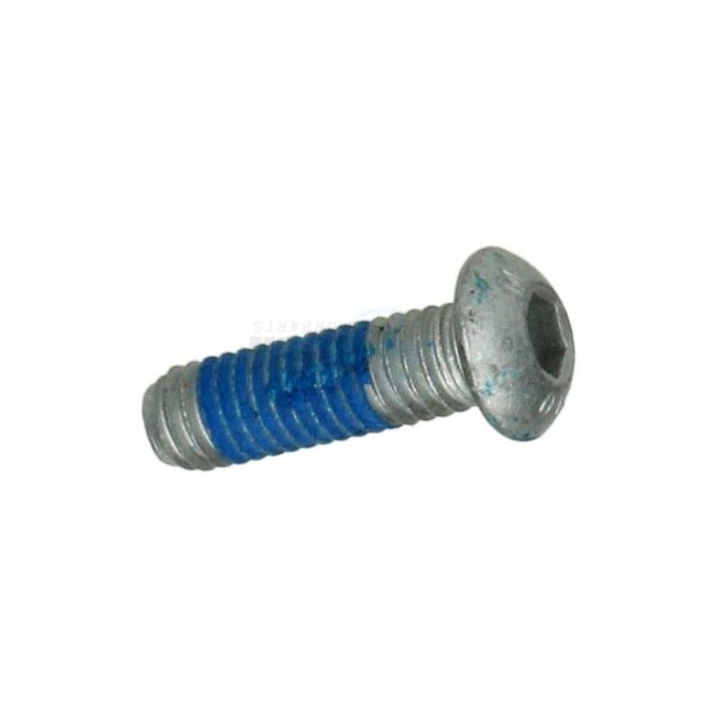 Screw for Brake Disc M6 x 20mm