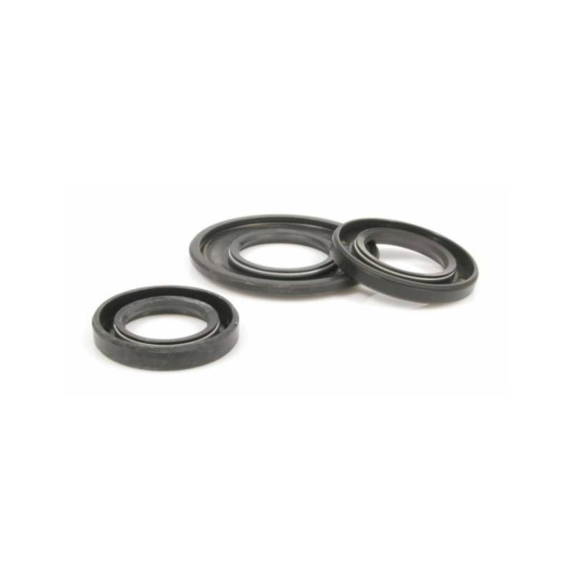 Oil Seal Kit Rally 200 Femsa