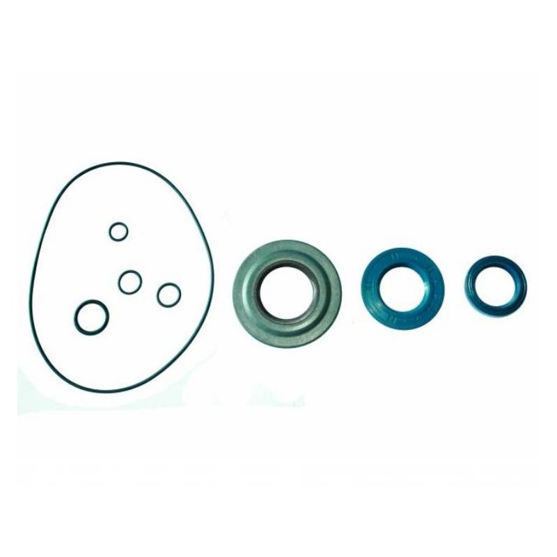 Oil Seal Kit PX