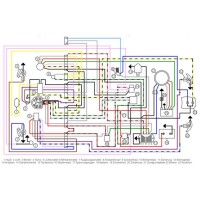 Wiring Loom PX