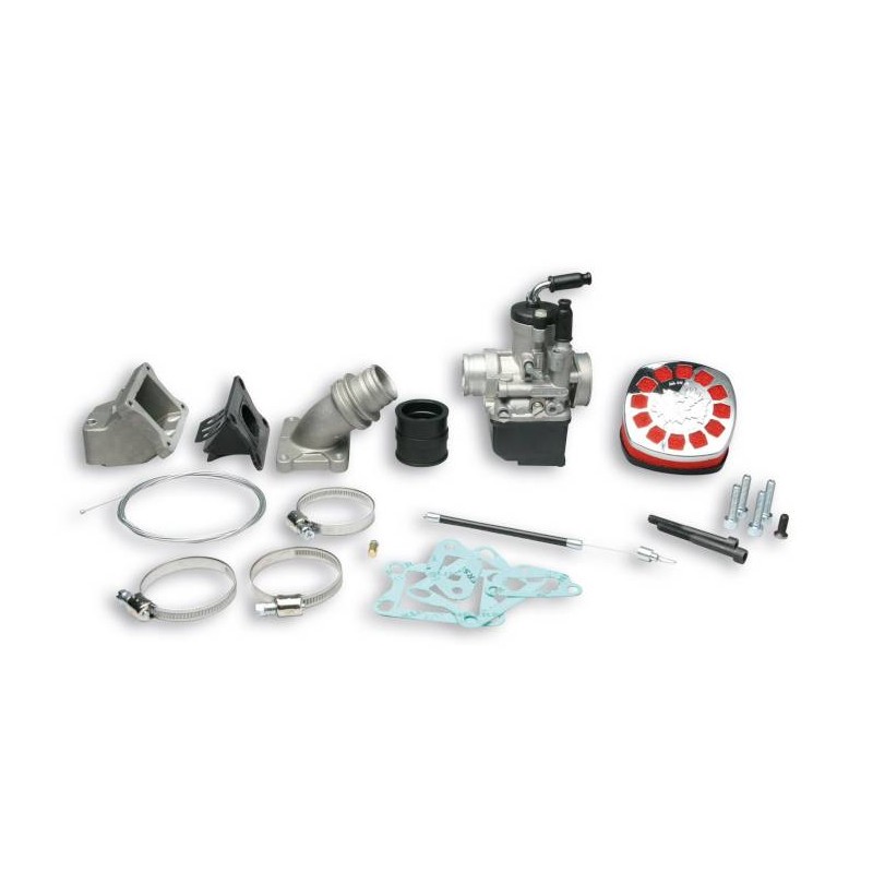 Carb Kit PHBL25 Reed