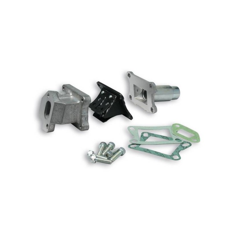 Reed Manifold Kit Ape 50 2T