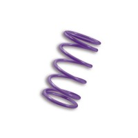 Contrast Spring AK550 Purple