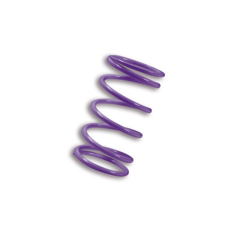 Contrast Spring AK550 Purple