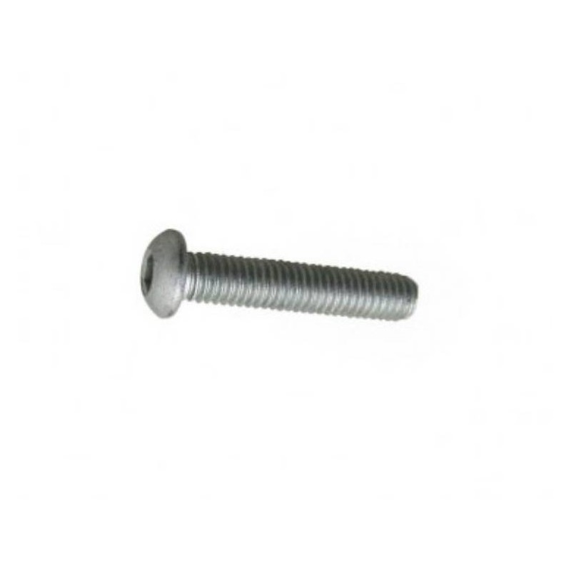 Screw for Rear Disc