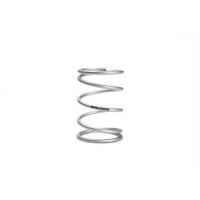 Grey Variator Spring