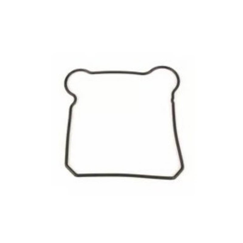 Rocker Cover Gasket M04