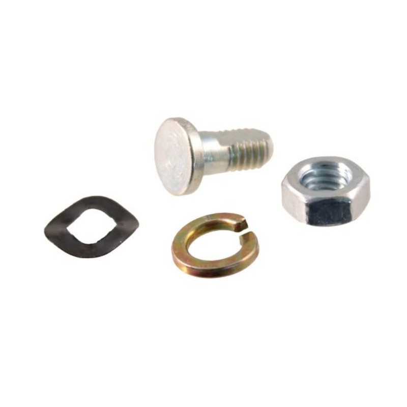 Starter Lever Fixing Screw Kit
