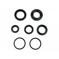 Oil Seals & O Rings