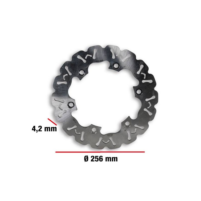 Whoop Disc 256mm